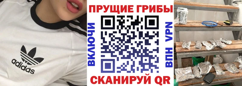 даркнет сайт  Верхотурье  Галлюциногенные грибы GOLDEN TEACHER 